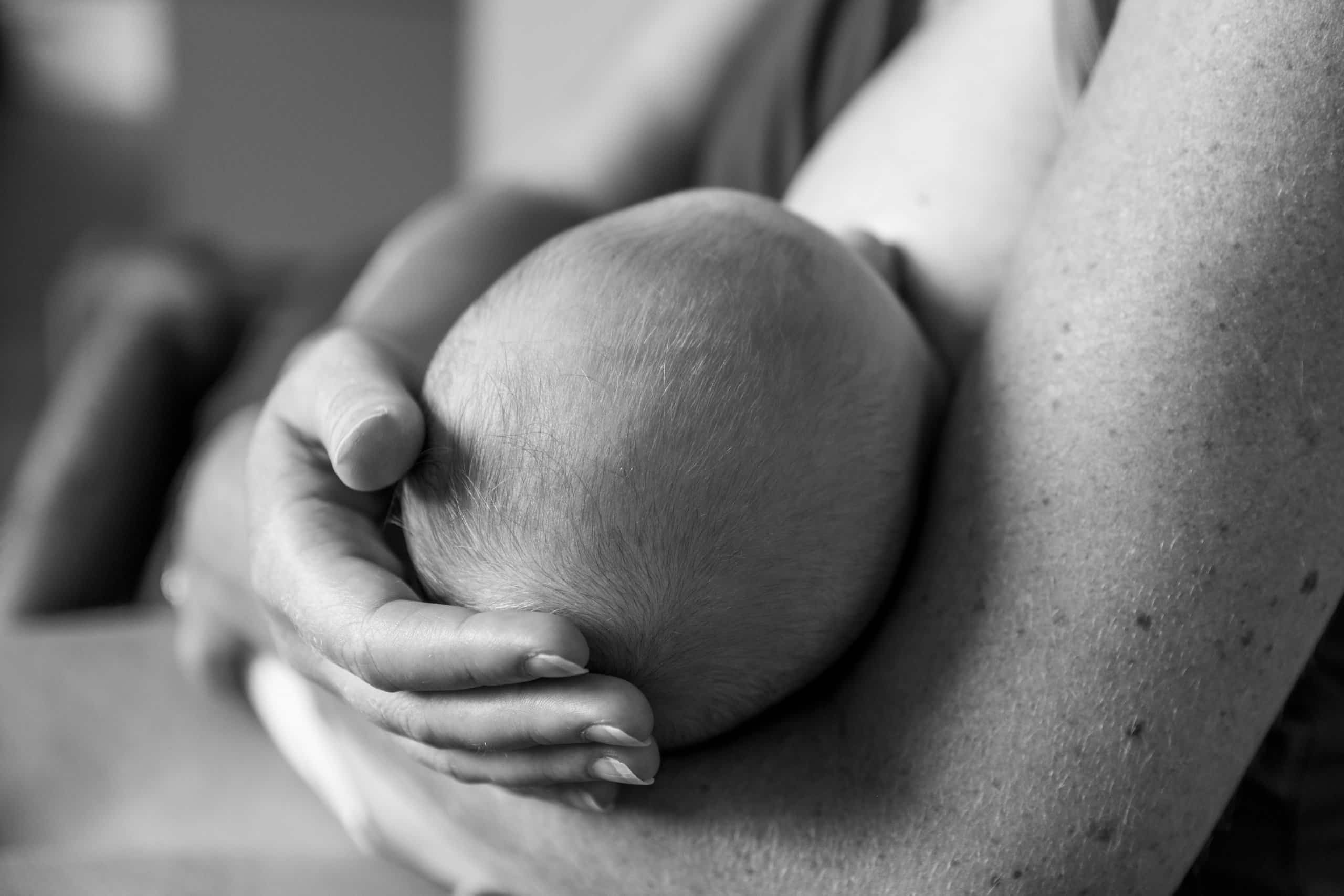 photo-nouveau-ne-tete-main-castelnau-le-lez